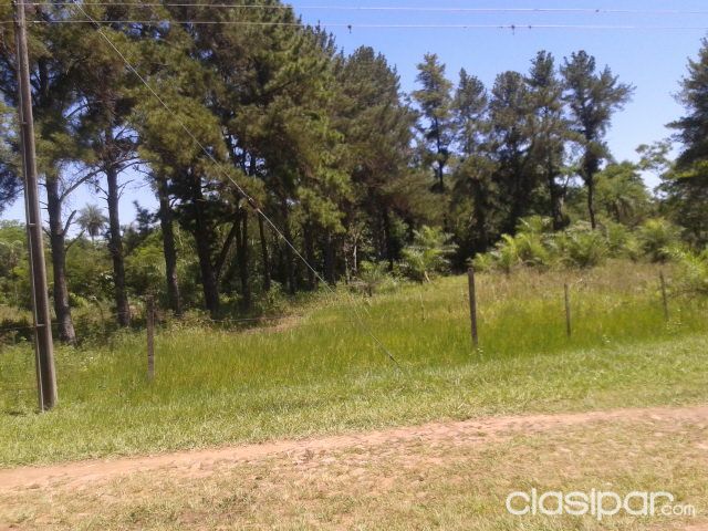 Vendo 3 lotes en San Bernardino — foto 2