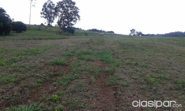 Vendo Terreno Con áreas De Bosques Y También áreas Para Plantaciones De Cultivo — foto 2