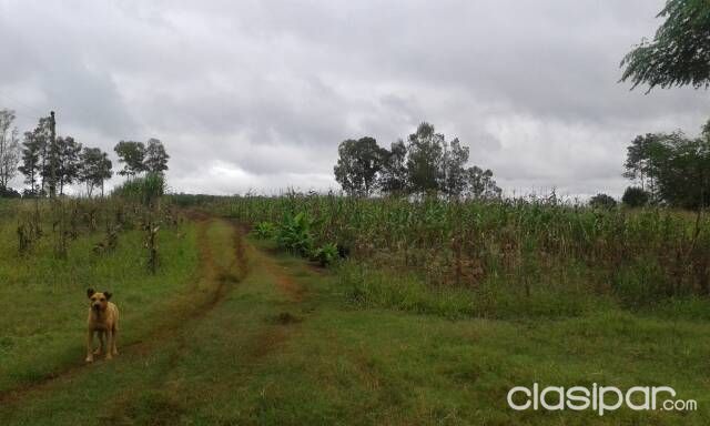 Vendo Terreno Con áreas De Bosques Y También áreas Para Plantaciones De Cultivo — foto 3