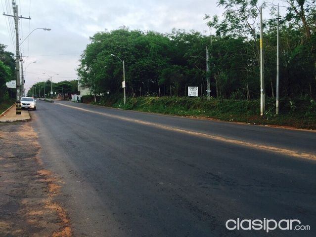REMATO TERRENO DE 21000 m2 EN VILLA ELISA!!! SOBRE LA AVDA VON POLESKI — foto 2