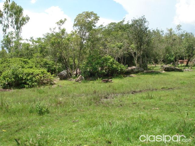 Vendo terreno con arroyo en piribebuy zona (jakarey) — foto 3