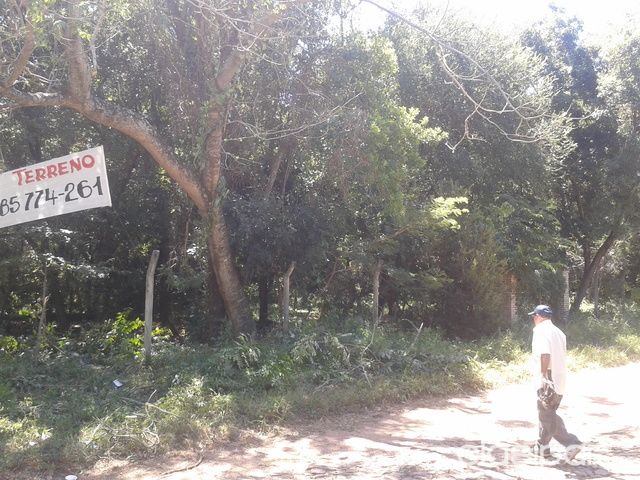 Terrenos en San bernardino — foto 2