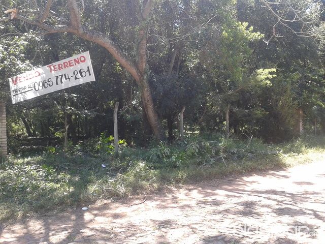 Terrenos en San bernardino — foto 3