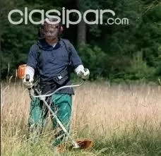 SERVICIOS DE LIMPIEZA DE TERRENO CON DESMALEZADORAS Y MOTOSIERRAS — foto 2
