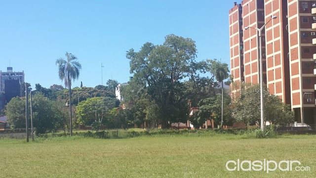 vendo casa antigua con espectacular terreno — foto 3