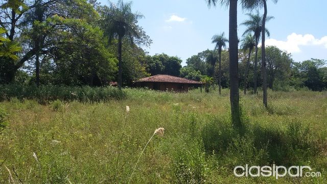 Quinta en Luque Aregua 12000 m2 — foto 3
