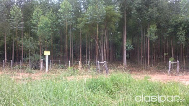 ALQUILERES DE TIERRAS RURALES, EN TODO EL PAÍS!!! — foto 2
