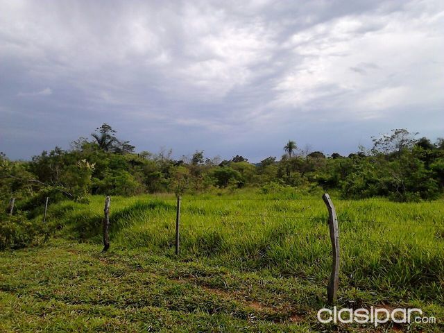 PROPRIEDADES RURAIS — foto 2