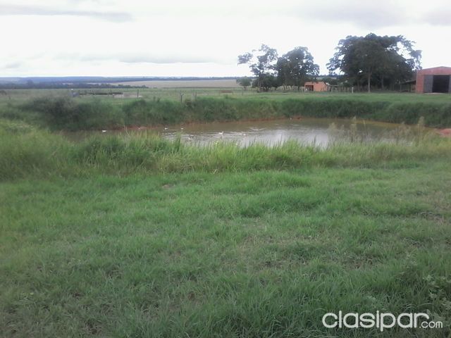 PROPRIEDADES RURAIS — foto 3