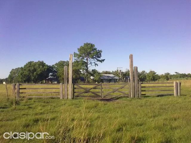 VENDO ESTANCIA EN MISIONES. VENDO CAMPO 1000 hectáreas — foto 3