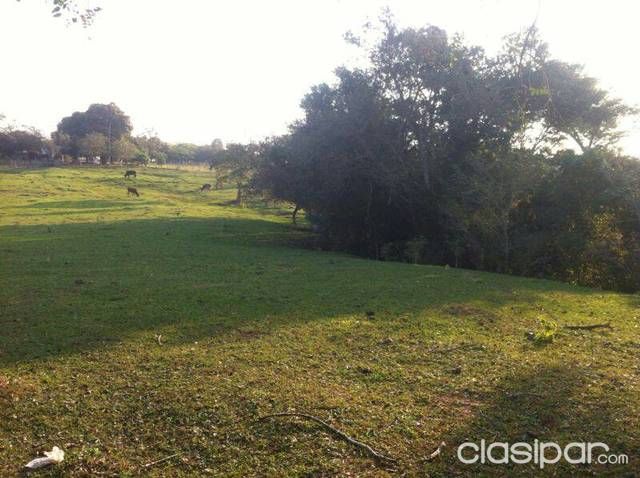 Vendo terreno — foto 3