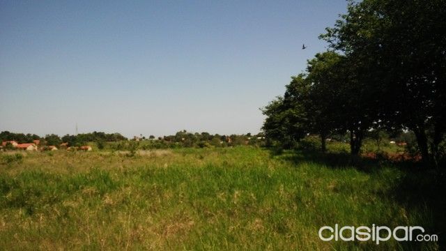 vendo 4 hectarias zona cuidad del este — foto 2