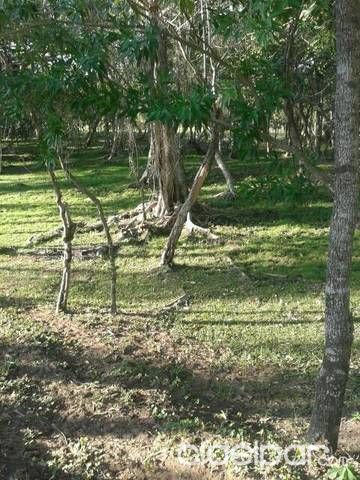 Vendo propiedad en Loma Grande — foto 2