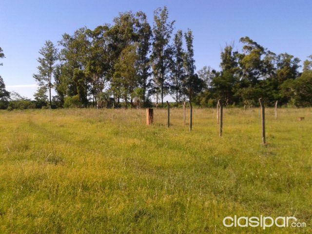 Vendo terreno con casa — foto 2