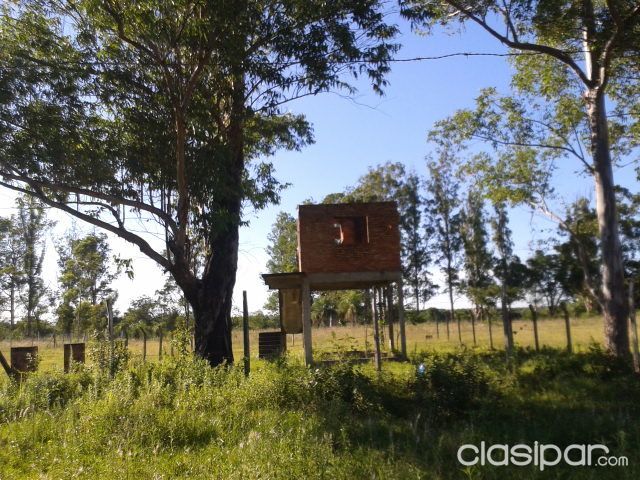 Vendo terreno con casa — foto 3