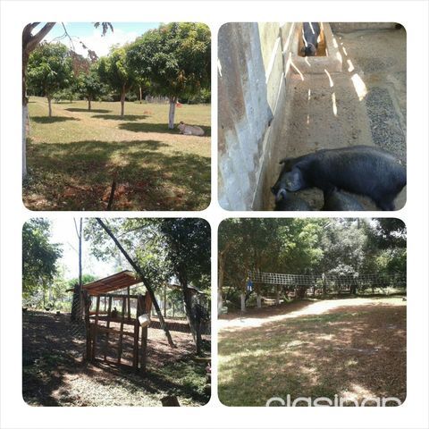 vendo hermosa casa quinta con arroyo propio en piribebuy — foto 3