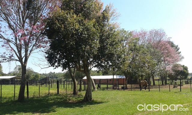 Cabaña en San Juan Bautista - Misiones — foto 2