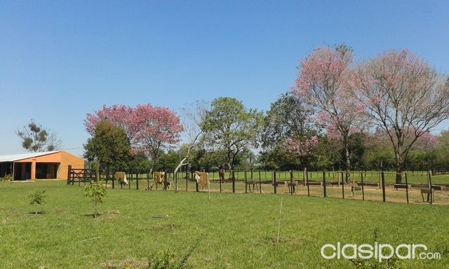 Cabaña en San Juan Bautista - Misiones — foto 3