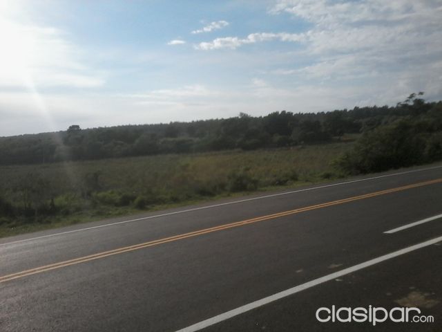 EXCELENTE OPORTUNIDAD. VENDO HERMOSO TERRENO DE 100 HAS. EN CAAGUAZU — foto 3