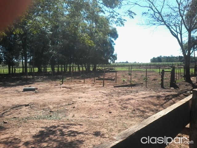 Vendo Granja Sobre Ruta 6º, 28 HTS — foto 3