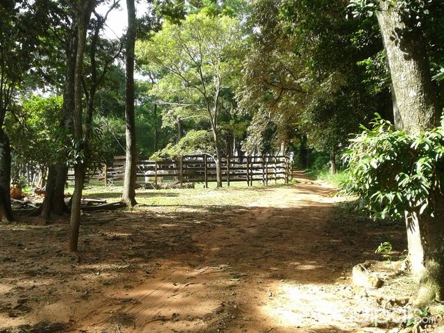 VENDO HERMOSA PROPIEDAD EN SAN JOSE DE LOS ARROYOS — foto 2