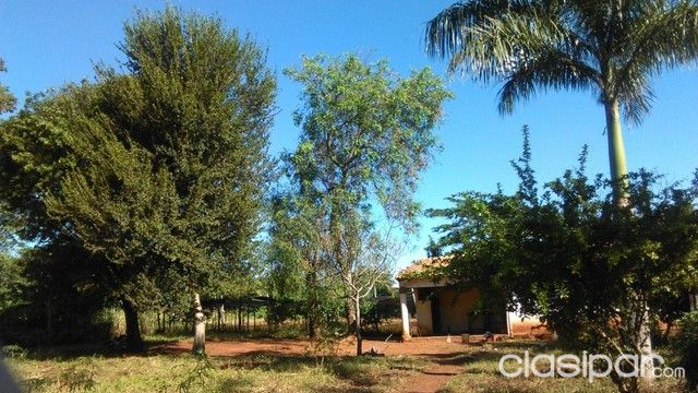 VENDO CASA CON QUINCHO DE 9mts.x 4mts. con 2 lotes — foto 2