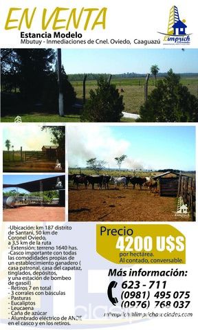 Venta de Estancia Modelo en Mbutuy - Inmediaciones de Coronel Oviedo, Caaguazú — foto 2