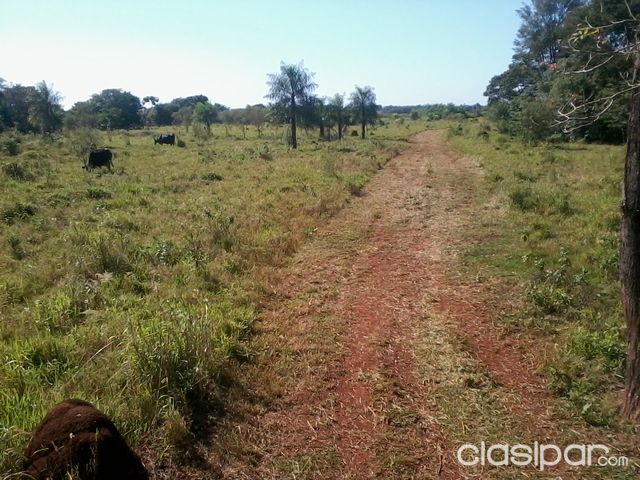 10 Hectáreas Km 14. 100 x 1000 mts. Con arroyos y naciente. Escucho ofertas. — foto 2