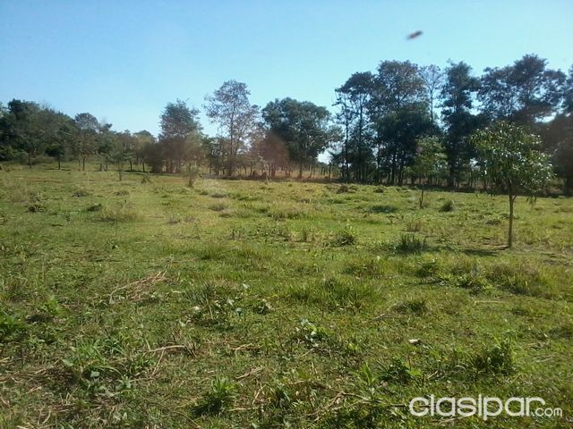 10 Hectáreas Km 14. 100 x 1000 mts. Con arroyos y naciente. Escucho ofertas. — foto 3