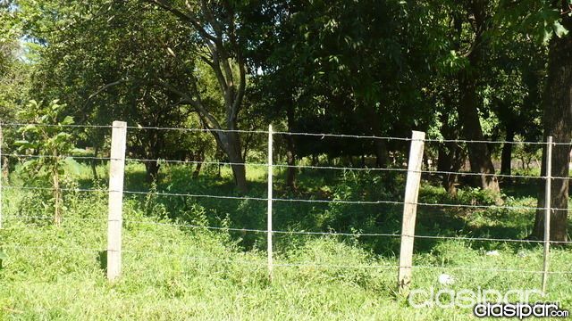 Terreno 75x66 en Barrio Costa Alegre Coronel Oviedo, a 10 cuadras del centro — foto 3