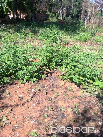 Terreno en venta en la Ciudad de Luque — foto 2