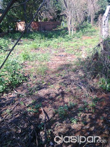 Terreno en venta en la Ciudad de Luque — foto 3