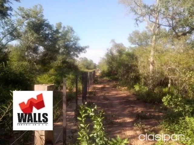 Vendo 5000 hectáreas en el chaco Paraguayo Zona Pozo Hondo. — foto 3