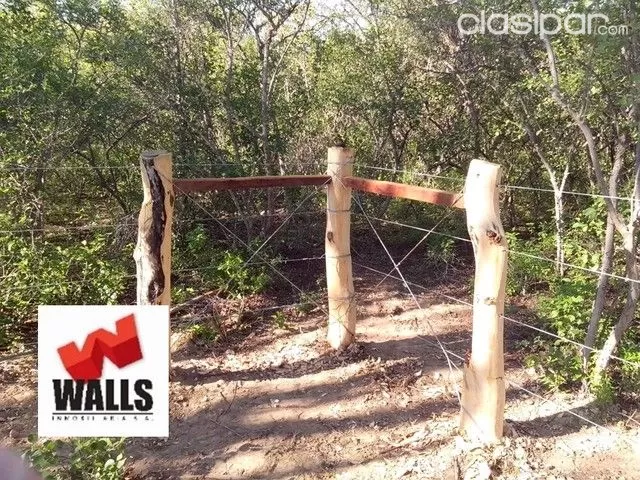 Vendo campo en el Chaco Paraguayo — foto 2