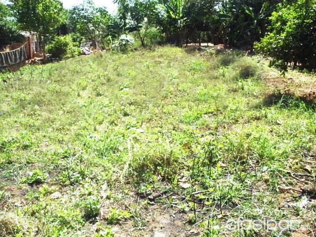 VENDO TERRENO EN YPANÉ - NEGOCIABLE! — foto 2