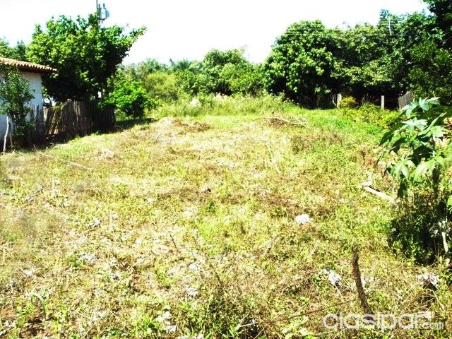 VENDO TERRENO EN YPANÉ - NEGOCIABLE! — foto 3