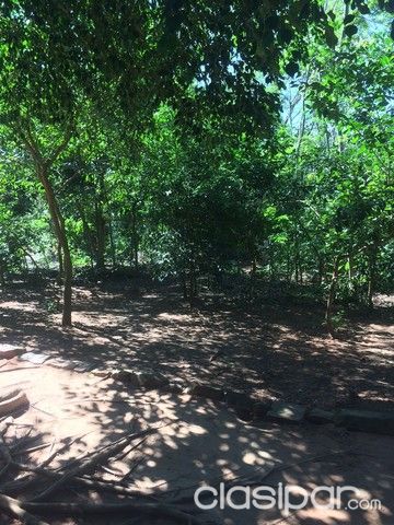 OFERTA! En Caacupé! Terreno de 2 has. — foto 3