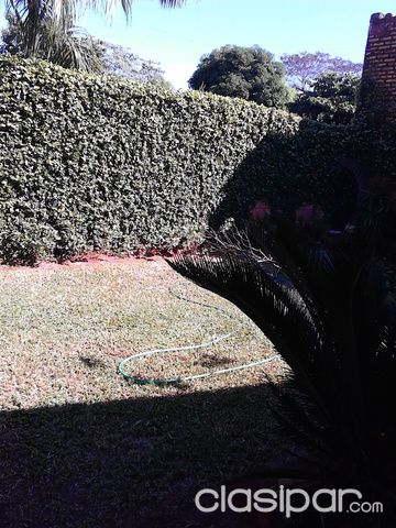 ALQUILO CASA — foto 3