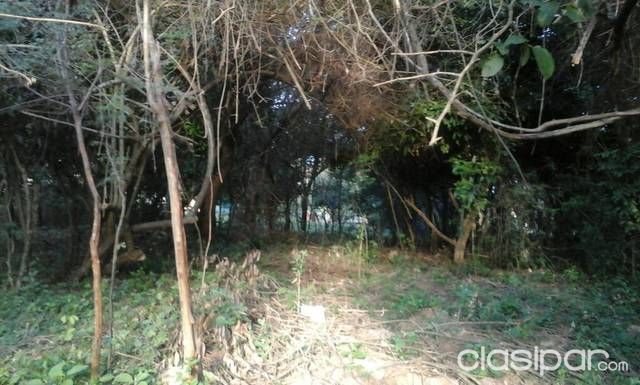 Vendo Terreno con Título — foto 2