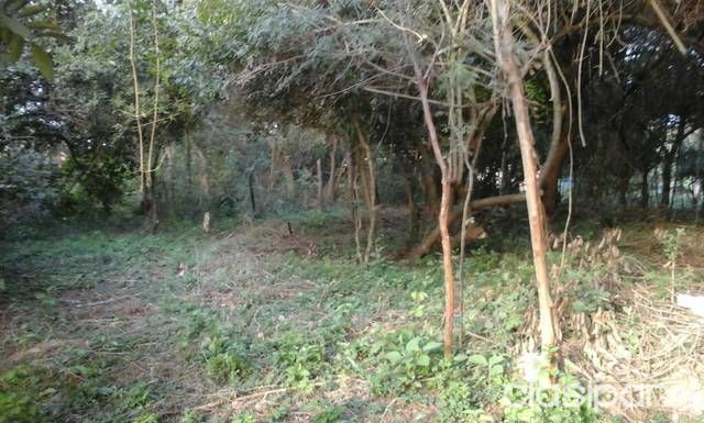 Vendo Terreno con Título — foto 3