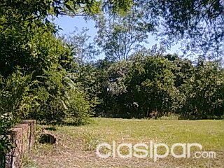 Vendo terreno 30 mts x 60 — foto 2