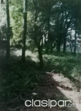 VENDO TERRENO SOBRE AVDA. SACRAMENTO — foto 3