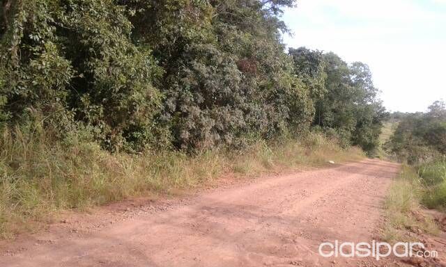 Vendo una propiedad de 10 hectáreas, ubicado en Cambyreta Centro Itapúa. — foto 2