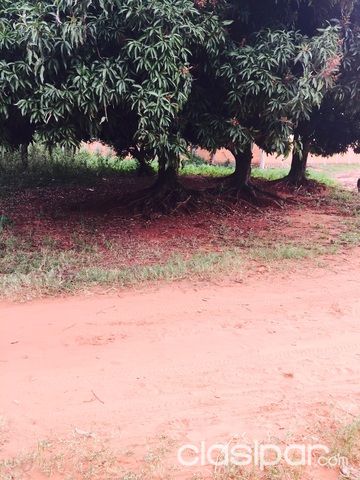 Vendo terreno en km 18 Luque — foto 2