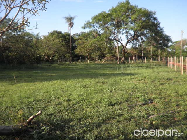 Vendo en Luque 5 hermosos terrenos 1905 m2!! — foto 2