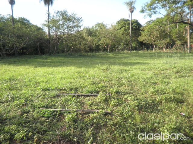 Vendo en Luque 5 hermosos terrenos 1905 m2!! — foto 3