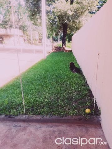vendo esta casa en mariano roque alondo — foto 2