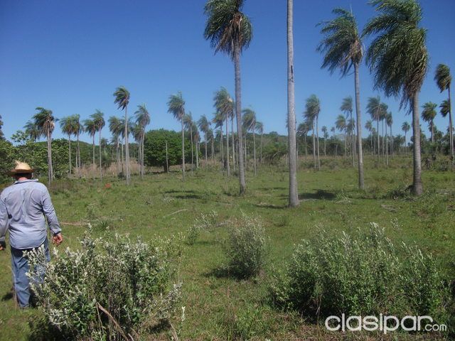 EN ITACURUBÍ DE LA CORDILLERA — foto 3