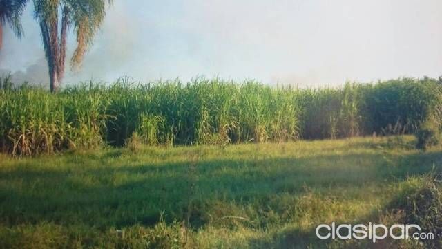 Oferto Propiedad De 70 Hectareas — foto 2