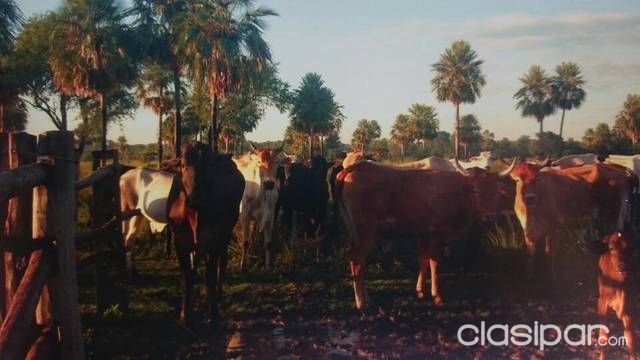 Oferto Propiedad De 70 Hectareas — foto 3